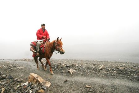 to ride the wild horse...