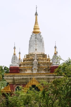 Maha Bodi Society