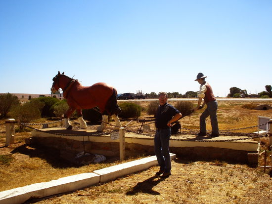 Auf dem Weg nach Port Augusta