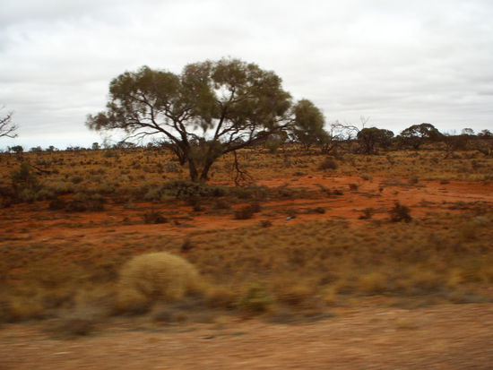 Entlang des Stuart Highways