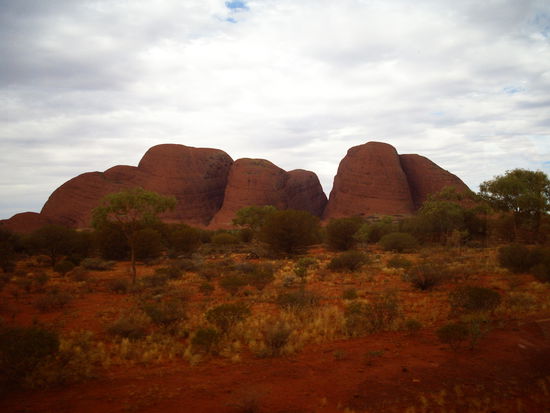 Die Olgas oder Katatjuta vom Bus aus gesehen