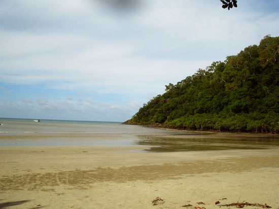 Regenwald bis an den Strand