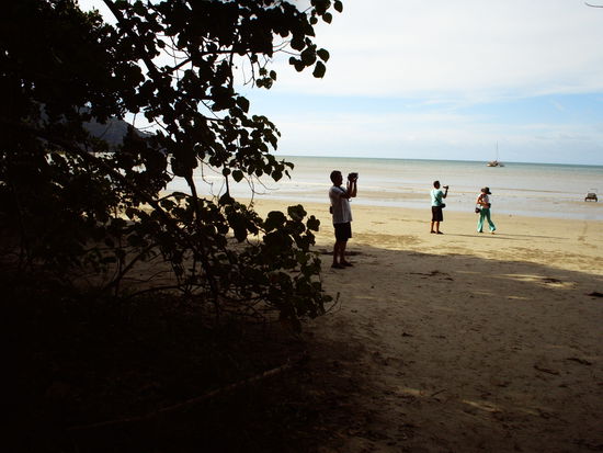 Blick aus dem Regenwald auf's Meer