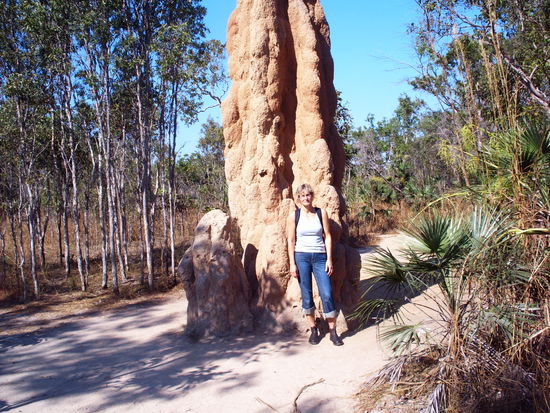 Ganz schön hoch so ein Termitenhügel, ne?