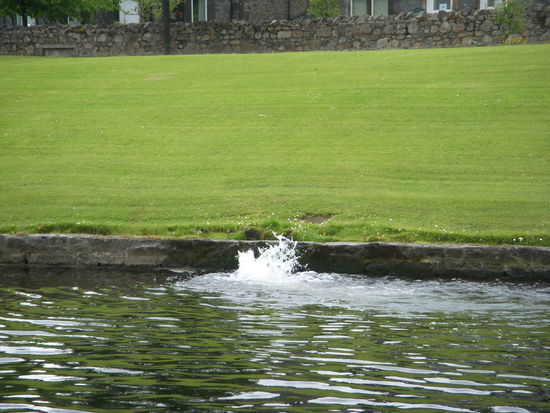 Hiermit wird gekühlt