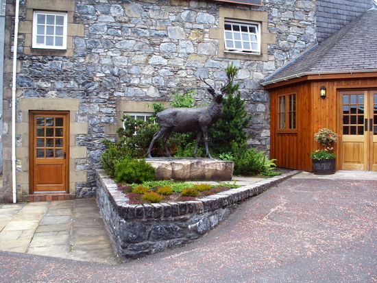 Glen Fiddich heißt : Tal des Hirsches 