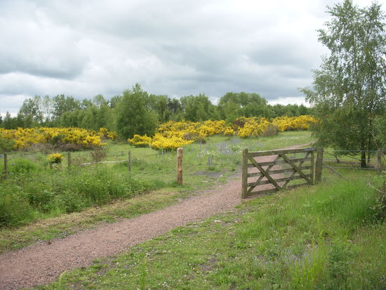 Natur in den Lothians
