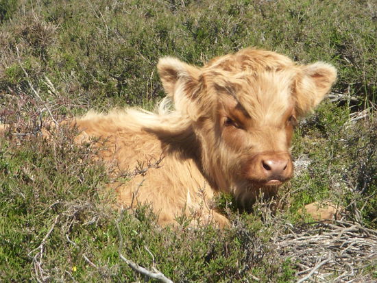 .... wenn ich groß bin 