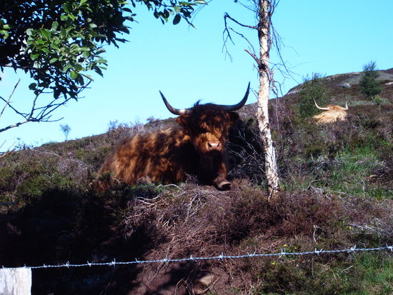 So sehe ich aus ......