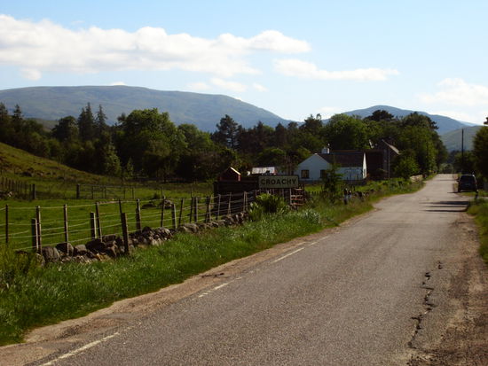 Hier "fanden" wir die Hochlandrinder