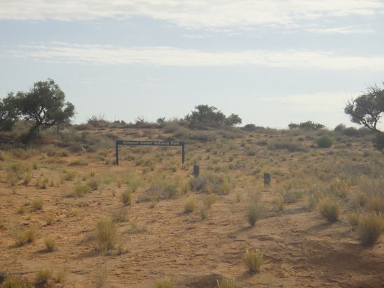 Wir sind immer noch da 