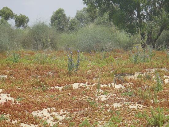 .... auch, wenn es nicht