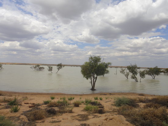 See am Fuße der Big Red