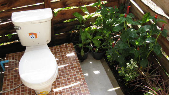 ...dann zum schoensten Klo der Welt