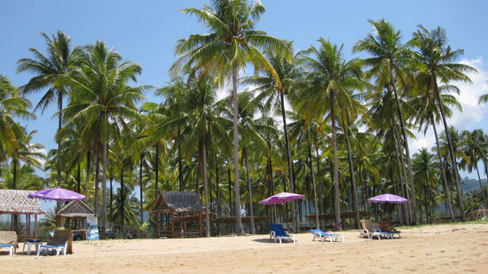 der Strand von Bang Niang