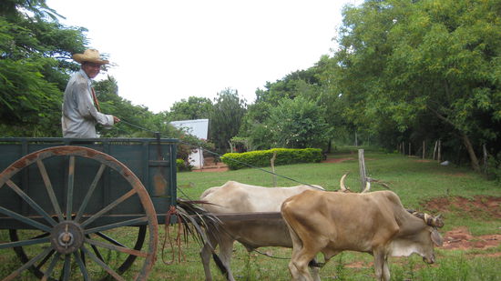 eine ganz andere Welt