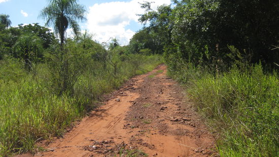 ...und schon auf der Piste