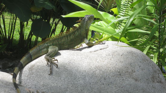 und auch nette Nachbarn haben wir