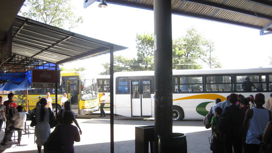 mit dem gelben Bus sind wir angekommen und eine Stunde spaeter wieder abgefahren