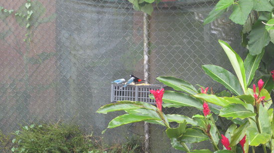 mit Birdwatching bekommt man den Tag auch rum