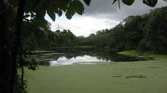 auf dem Weg zum Vulkan