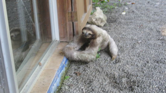 endlich beim Baecker angekommen