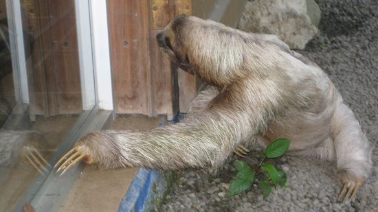 he, werde ich hier bedient