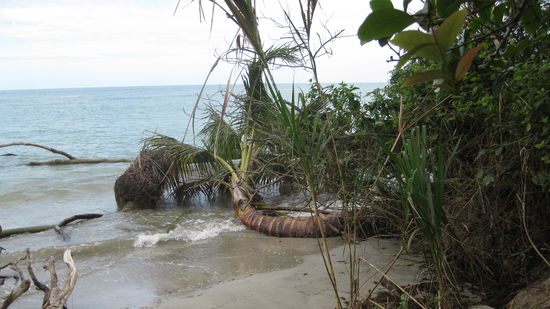 hier wird alles natuerlich gelassen
