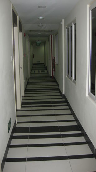 Wieviele Zebras fuer diesen Fussboden sterben mussten?