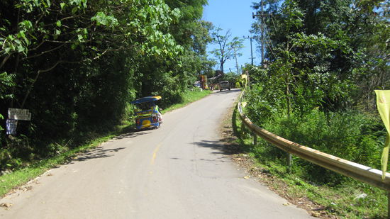 Den Berg hoch zum Aussichtspunkt musste ich laufen.