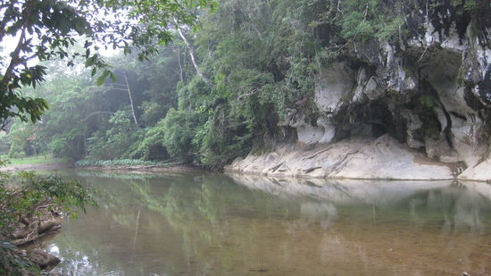 Hier gehen Menschen und Affen baden.