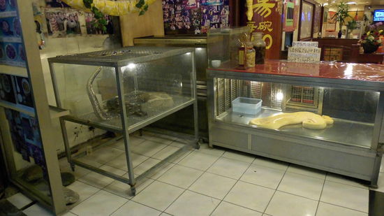 die krassesten Bilder habe ich weggelassen oder erst garnicht Fotografiert.
So schlim ist aber der Markt nicht mehr. es gibt nur noch wenige Staende mit exotischen Nahrungsmitteln