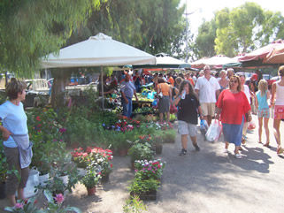 Der Markt von Amaliada