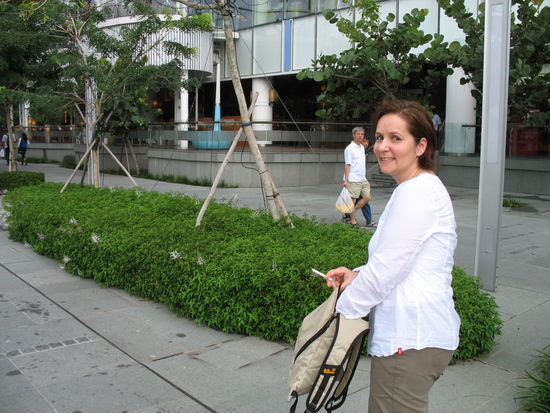 Mitkommen, es geht nach Little India 