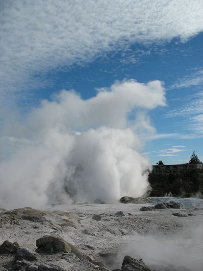 Geysir im Te Puia Park...