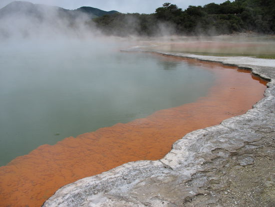 ...champanger pool..schoen warm,75grad..