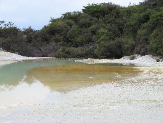 ...Champanger Pool...