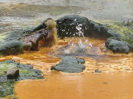 Einfach gut hier....