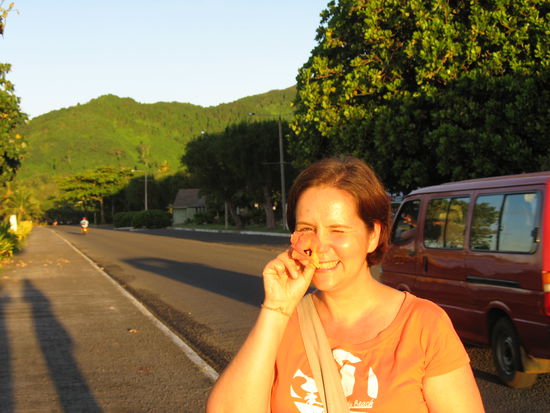 ...immerhin erste suedseeblume gefunden 