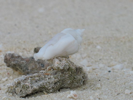 Manche haben einen seltsamen Liegeplatz....