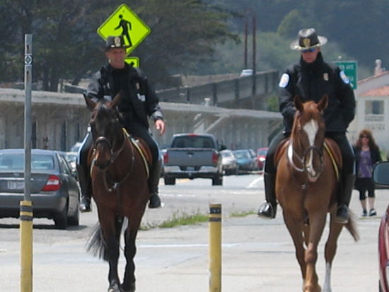Regina, falls du auswandern willst...hier kannst du auch mit pferd arbeiten ...