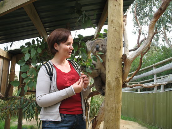 ...ich war natuerlich auch nicht untaetig und hab mich mit dem Koala hier angefreundet... 