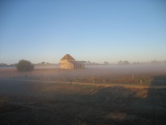 ...gott sei dank bin ich ein fruehaufsteher in der regel. Als ich morgens gegen 7 uhr aus dem bett bin, habe ich dieses schauspiel zu gesicht bekommen...die sonne ging auf und der nebel hat sich langsam gelichtet...war echt schoen 