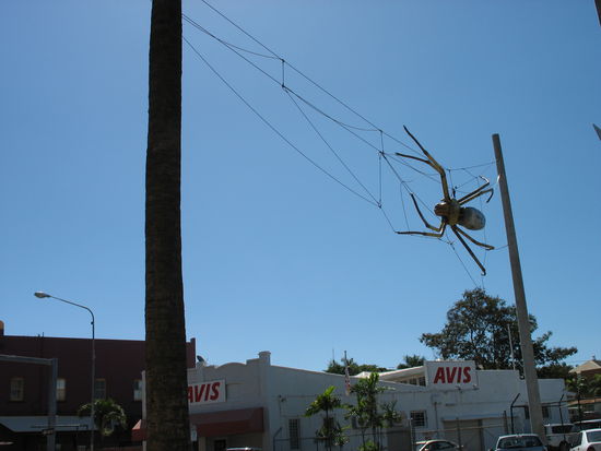 Dieses Bild beschreibt Townsville am besten  anscheinend wissen sie das selbst auch!