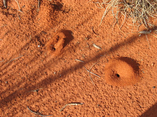 Erdbewohner..zumindest, die haustueren erkennt man und die stehen offen 
Die rote erde ueberall ist schon schoen!