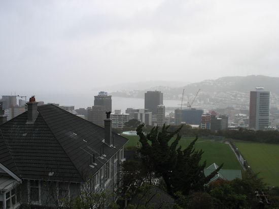 Aussicht auf Wellington vom Hausberg aus...rain and rain and rain...