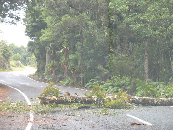 und da ging es leider nicht weiter...