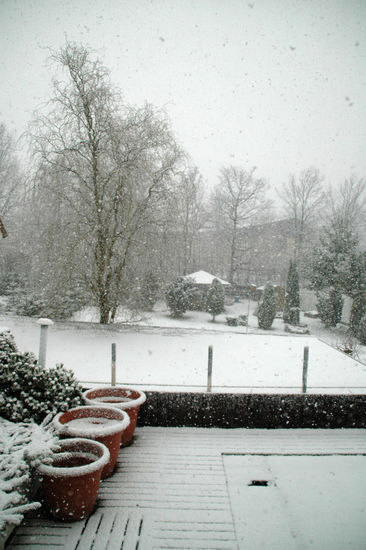 Chemnitz 24.03.2009 - 2 Tage nach drei Wochen angenehmen(?) Temperaturen!!!!!