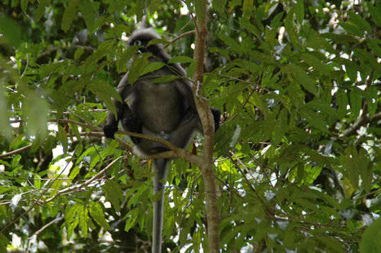 Freigegeben ab 18 Jahren!