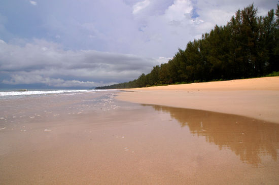 Allein am Turtle Beach